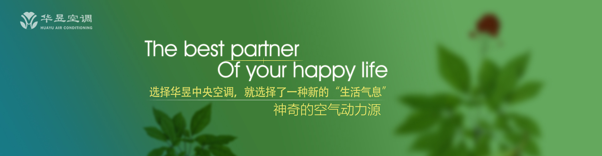 一狐之腋网